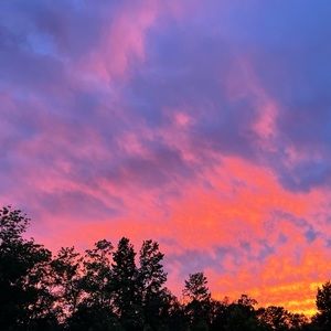 Meet your Posher, Cara